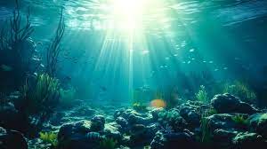 onderwaterwereld