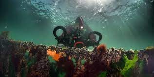 onderwaterfotografie cursus