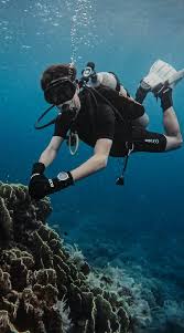 padi open water diver