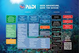 padi diving schools