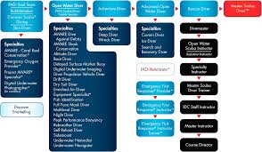 padi duikcursussen