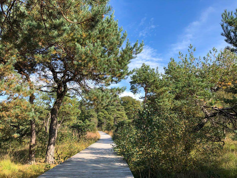 naar nederland reizen vanuit belgie