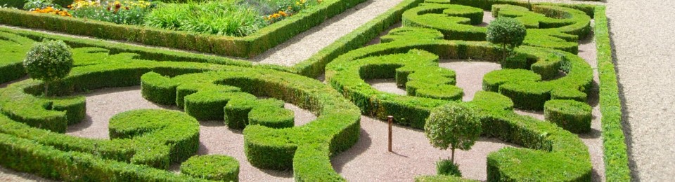 reizen van belgie naar nederland