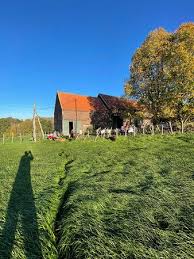 zomerbar west vlaanderen