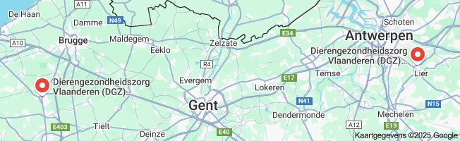 dierengezondheidszorg vlaanderen