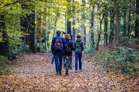 boswandeling west vlaanderen