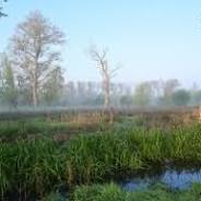 natuurgebieden oost vlaanderen